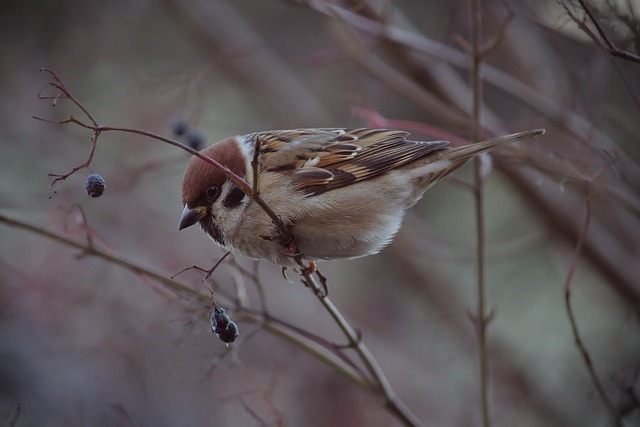 高光时刻 高光时刻