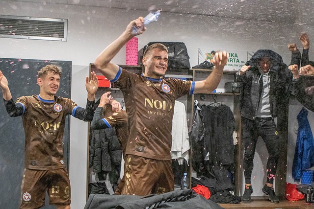 但凭借顽强 但凭借顽强